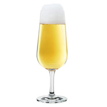 Load image into Gallery viewer, RITZENHOFF ASPERGO SET OF 6 BEER GLASSES Quirksy gifts australia