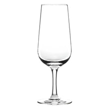 Load image into Gallery viewer, RITZENHOFF ASPERGO SET OF 6 BEER GLASSES Quirksy gifts australia