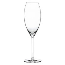 Load image into Gallery viewer, RITZENHOFF ASPERGO SET OF 6 CHAMPAGNE GLASSES by SYKES LANGLOIS Quirksy gifts australia

